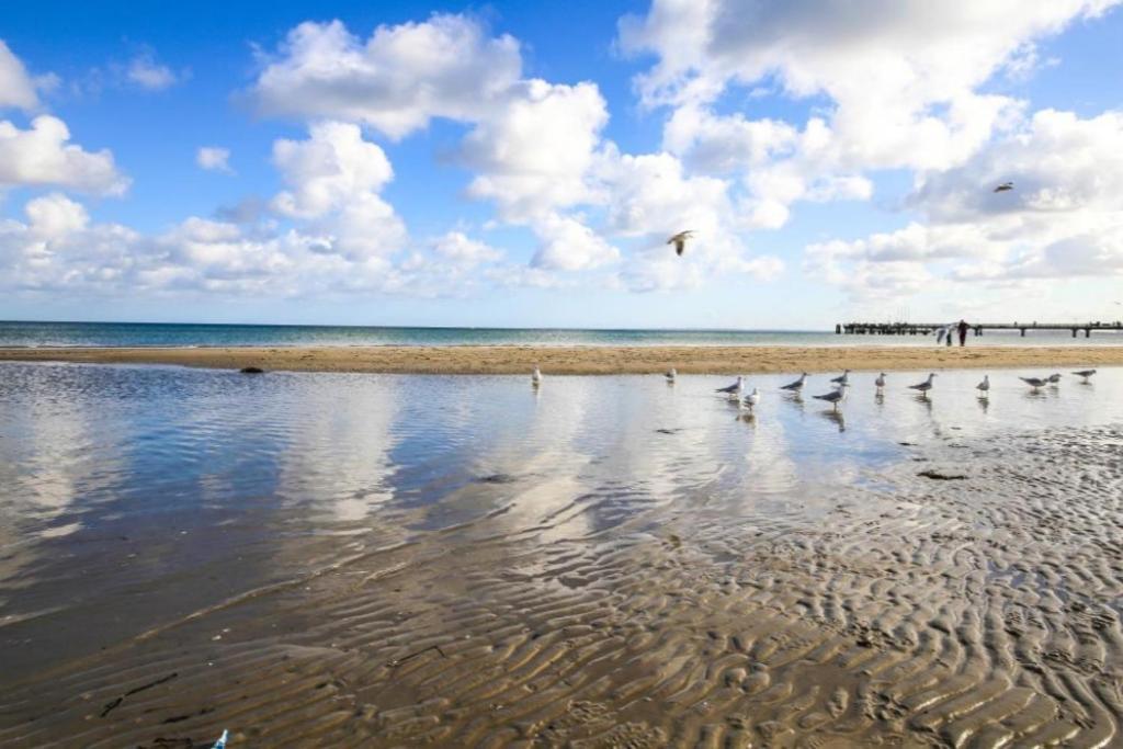Ferienwohnung Seesternchen 2 Scharbeutz Bagian luar foto