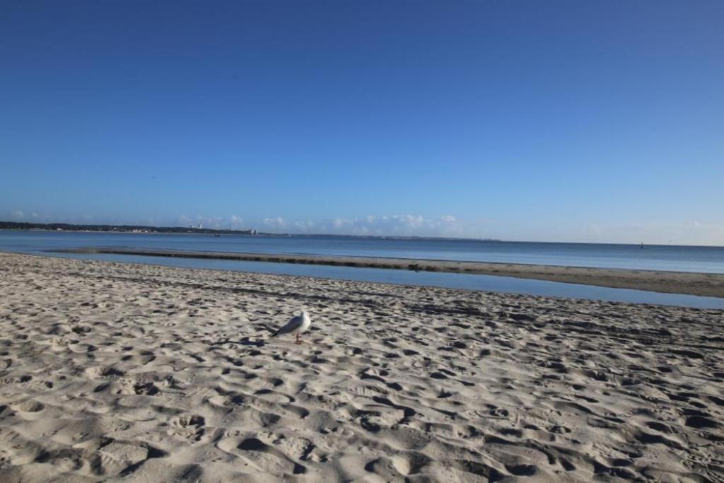 Ferienwohnung Seesternchen 2 Scharbeutz Bagian luar foto